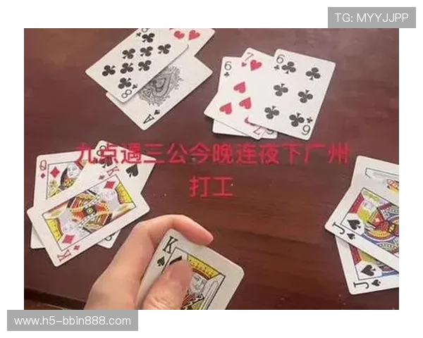 三公的玩法入门指南：详细步骤与常用技巧帮助新手轻松上手